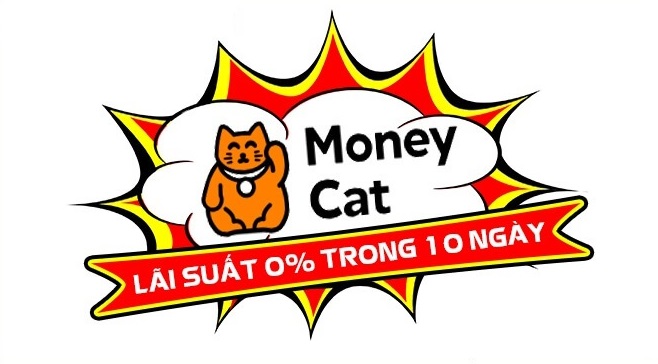 thông tin liên hệ Moneycat