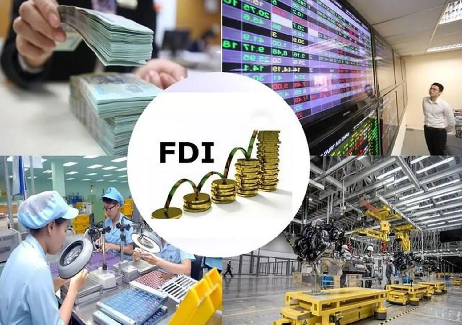 Phân loại FDI theo mục tiêu đầu tư